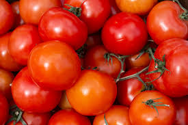 Tomato 